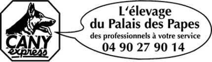 Cany Express | Élevage du Palais des Papes